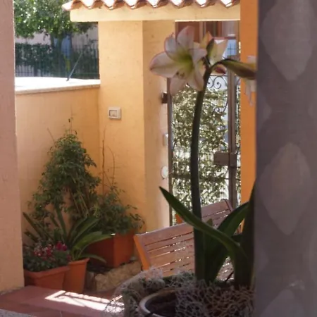 Дом отдыха Haidresser's House *